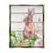 Stupell Industries Spring Flower Garden Country Rabbit Floater Framed Art